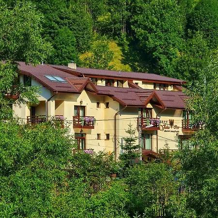 Pensiunea Vlahia 4* Moeciu De Sus